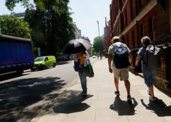 Excessive Heatwave Escalates Urgency of Local weather Adaptation in Europe — World Points
