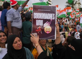 India’s ‘cockroach’ motion ousts schooling minister : NPR