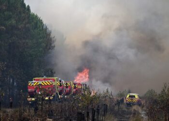 With wildfires raging in France and Spain, hearth crews race towards subsequent warmth wave : NPR