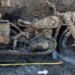 Budapest’s low Danube uncovered two German troopers and a DKW navy motorbike; mud combined with gasoline oil preserved id discs after round 80 years