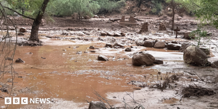 Grand Canyon flash flood kills one and sparks seek for lacking hikers