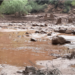 Grand Canyon flash flood kills one and sparks seek for lacking hikers