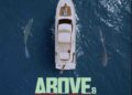ABOVE & BELOW Motion thriller with criminals and sharks! Trailer