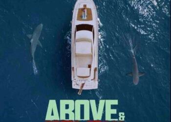 ABOVE & BELOW Motion thriller with criminals and sharks! Trailer