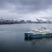 7 Antarctica Cruises In contrast for Wellness and Mindfulness Vacationers