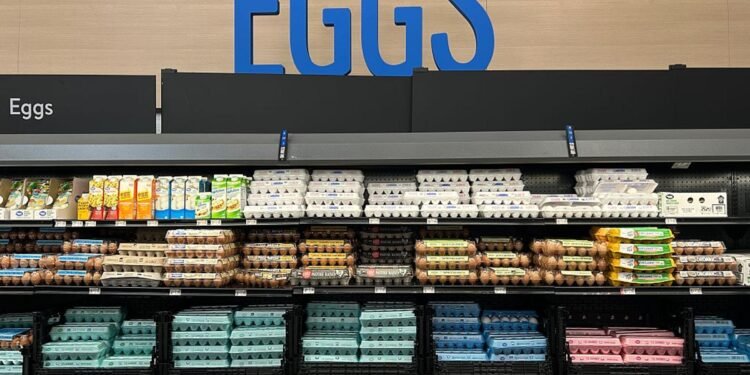 Salmonella Egg Recall Is Now Class I, the FDA’s Highest Threat Degree