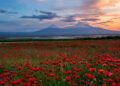 Seven Days in Armenia, The place the Previous Is Nonetheless in On a regular basis Use