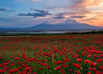 Seven Days in Armenia, The place the Previous Is Nonetheless in On a regular basis Use