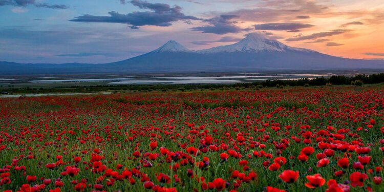 Seven Days in Armenia, The place the Previous Is Nonetheless in On a regular basis Use