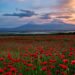 Seven Days in Armenia, The place the Previous Is Nonetheless in On a regular basis Use
