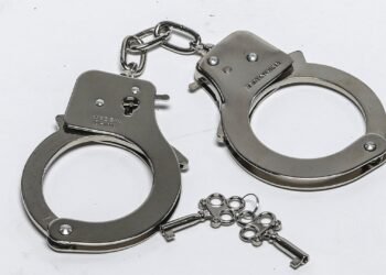 North Dakota Mother Allegedly Killed Two Kids, Minimize Throats