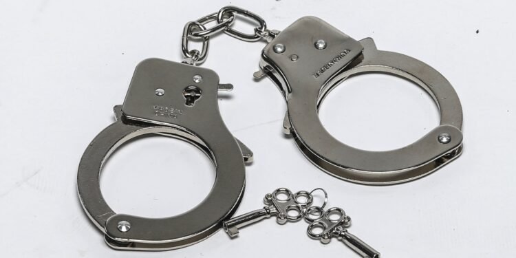 North Dakota Mother Allegedly Killed Two Kids, Minimize Throats
