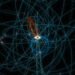 This Star Whips Across the Milky Means’s Black Gap Quicker and Nearer Than Any Different Identified Star