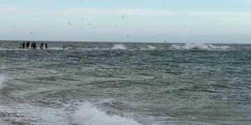 The North Jutland Street Journey That Ends The place Two Seas Collide