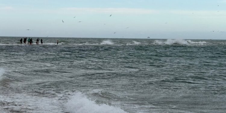 The North Jutland Street Journey That Ends The place Two Seas Collide