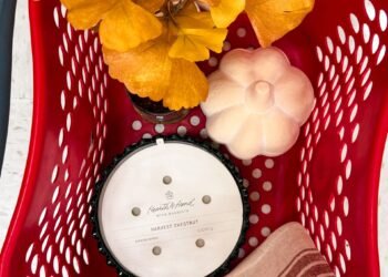 What Staff LIY Is Including to Cart This Fall