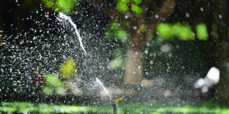 Sprinkler Restore Information: Indicators, Fixes & When to Name a Professional