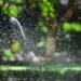 Sprinkler Restore Information: Indicators, Fixes & When to Name a Professional
