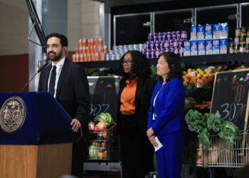 The Economics of Public Grocery Shops