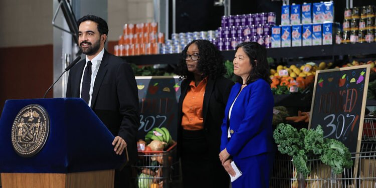 The Economics of Public Grocery Shops
