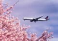 Learn how to Select the Proper Air Canada Fare