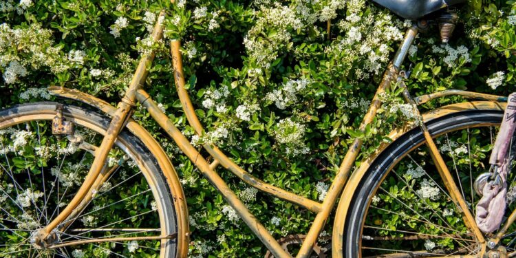 Have a Nice Weekend. | Cup of Jo
