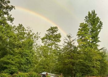 Constructing the Life You Need: Ideas on Intentional Residing