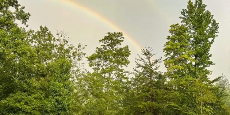 Constructing the Life You Need: Ideas on Intentional Residing