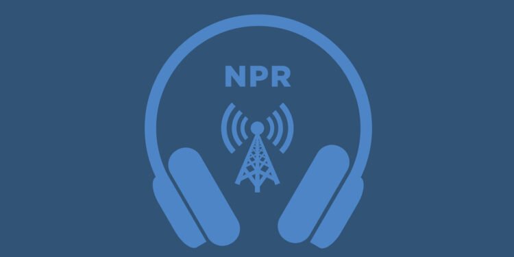 Ukraine’s air defenses are proving to be a weak level : NPR