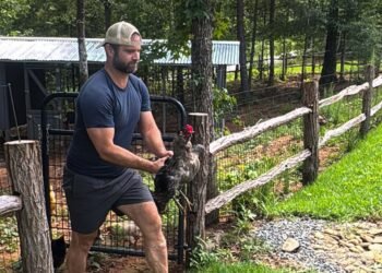 Why We Rehomed Our Rooster