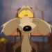 Coyote Vs. Acme Resolves A Many years-Lengthy Looney Tunes Thriller