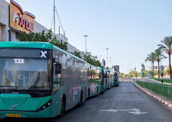Egged groups with Chinas CRRC to supply buses