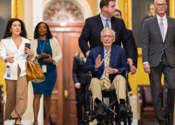 Mitch McConnell returns to Senate after three-month well being absence