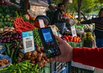 Fee aggregators search extra time from RBI to finish service provider re KYC: Report