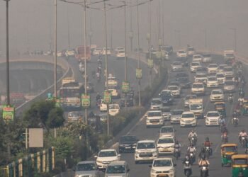 50% make money working from home, parking costs doubled: Delhi steps up air pollution curbs forward of winter