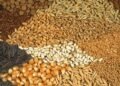 Cupboard clears ₹2.79 lakh crore package deal: Rabi MSP hike, PM DHARA and Delhi visitors system