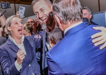 The AfD Is Rising. Germany’s Political Heart Is Failing.