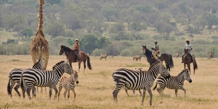 Kenya Grew Up Whereas I Was Away