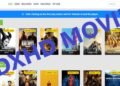 Is RDXHD Motion pictures Protected to Use? Dangers, Malware, and What Customers Ought to Know – WatchMoviesOnline.in