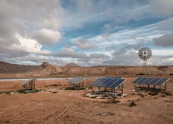 Africa Has the Expertise to Obtain Meals Safety—Now It Wants Coordinated Deployment — World Points