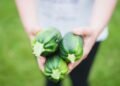 What to Do With Too Many Zucchini: 10 Methods to Use It Up