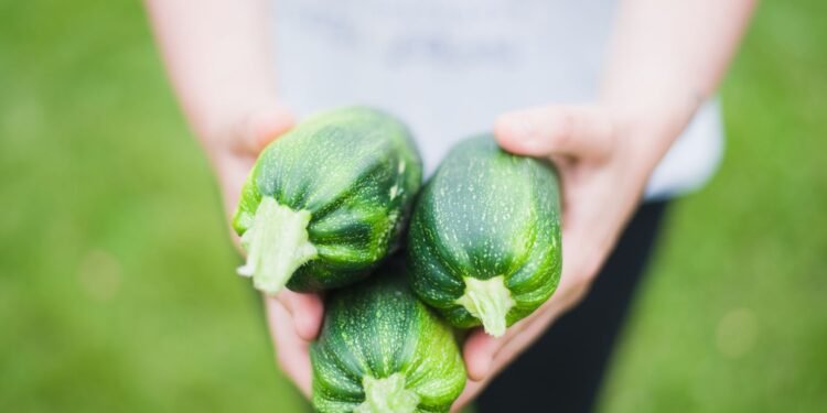 What to Do With Too Many Zucchini: 10 Methods to Use It Up