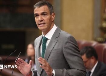 Embattled Spanish PM Sánchez insists no prior warnings earlier than Ceuta disaster