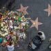 Dolly Parton’s star on Hollywood Stroll of Fame changed after vandalism – Nationwide