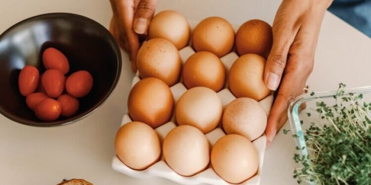 Protein Earlier than or After a Exercise? What Ladies Want