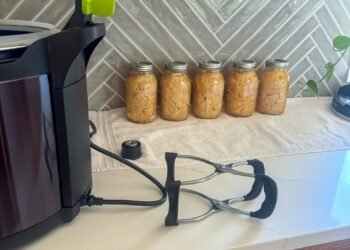 Tips on how to Strain Can Uncooked Hen in a Presto Digital Canner