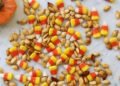 Roasted Pumpkin Seeds Recipe – A Lovely Mess