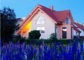 Why Vinyl Alternative Home windows Are a Good Residence Enchancment
