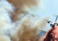 As wildfires unfold north, UN businesses race to assist Europe adapt — International Points