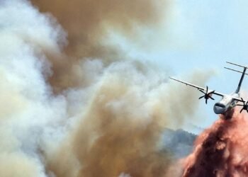 As wildfires unfold north, UN businesses race to assist Europe adapt — International Points